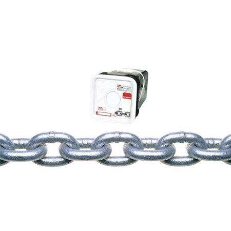APEX TOOL GROUP Apex Tool Group 143536 0.31 in. x 75 ft. Chain Proof Galvanized 143536